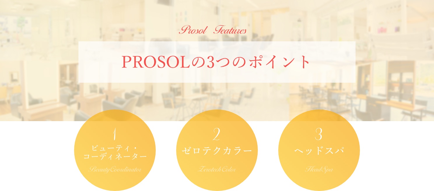 PROSOLの３つのポイント